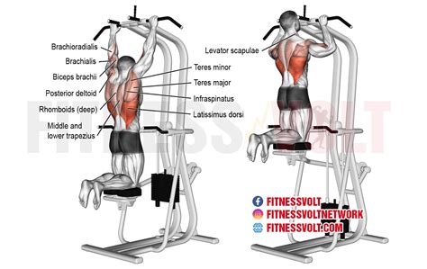 Machine Assisted Pull Up Back Fitness Volt
