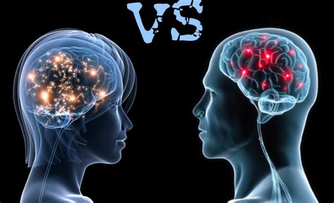 Diferencias En El Cerebro Entre Hombres Y Mujeres