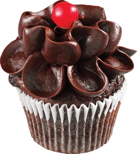Download Chocolate Flower Cupcake Png Image For Free
