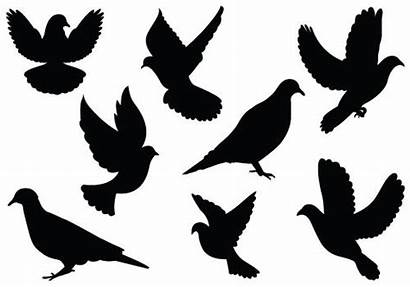 Dove Clipart Vector Silhouette Clip Flying Tattoo