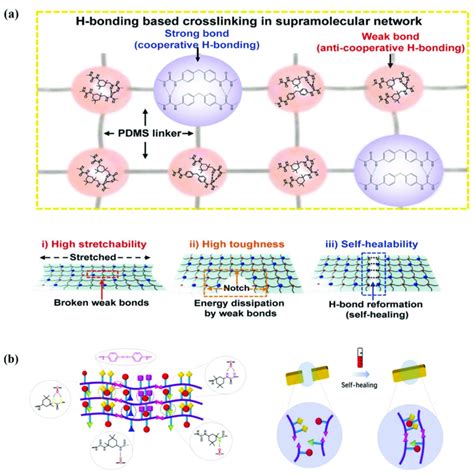 A Possible Hydrogen Bonding Combinations For Strong Bond And Weak
