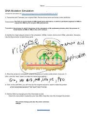 The simulation then allows you to edit the dna which will then create a new protein. Sharp DNA Mutation Simulation Worksheet.pdf - N DNA M S ...