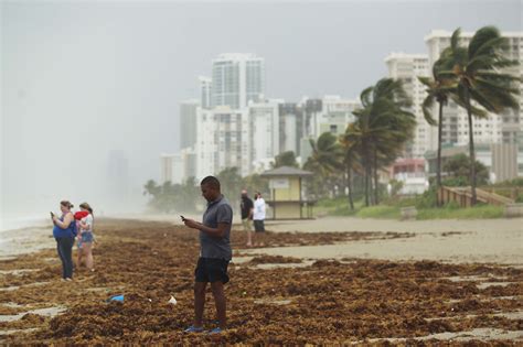 Red Tide Threatens To Close Florida Beaches Fort Lauderdale Officials