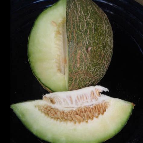 Valencia Winter Melon Seeds (Cucumis melo var. inodorus cv.)