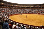 Bullring in Spain's Andalucia offers bullfighting workshops to children ...