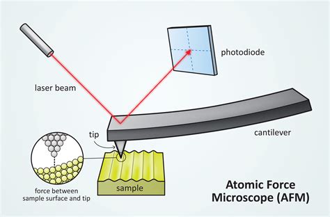 Scientific Image Atomic Force Microscope Illustration Nise Network