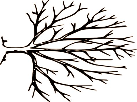 Bare Tree Clipart Black And White