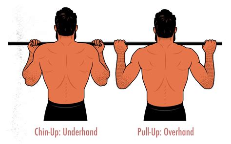 Whats The Difference Between Chin Ups Vs Pull Ups Which Are Better