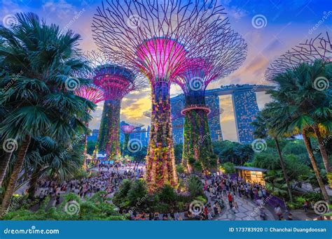 Singapore January 27 2020 Supertrees At Gardens By The Bay The