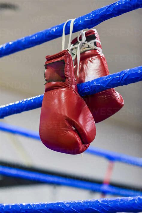 Red Boxing Gloves Hanging From The Ring Ropes Stock Photo