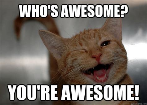 Whos Awesome Youre Awesome Cheer Up Cat Quickmeme