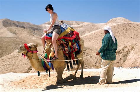 1827 El Camello Y La Mujer En Desierto Fotos De Stock Fotos Libres