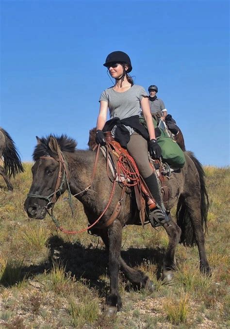Gorkhi Terelj National Park Horse Riding Tour And Expedition Horses