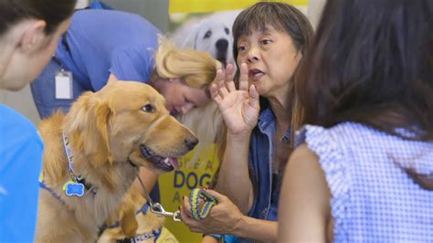 Celebrating Canine Companions for Independence Service Dogs
