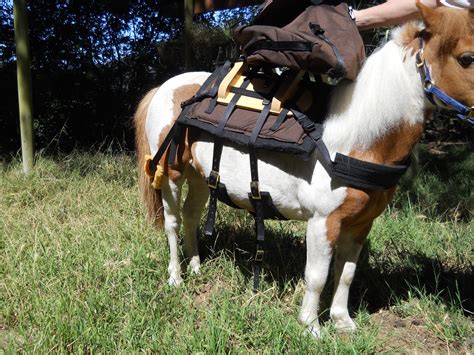 Mini Horse Pack Saddle Large Adjustable
