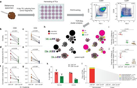 Pinpointing The Tumor Specific T Cells Via Tcr Clusters Elife
