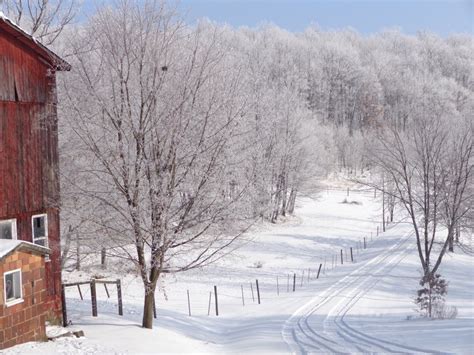 Beautiful Winter Scene At A Farm In Porter Township Photo Submitted By Jayne Mccauley