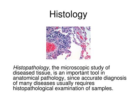 Ppt Histology Powerpoint Presentation Id651505
