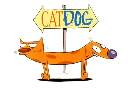 Catdog Serie Temporada 3 1500 En Mercado Libre