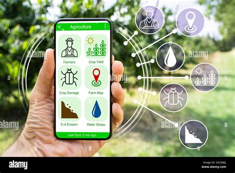 Smart Farming Digital Technology Agriculture App At Farm Stock Photo