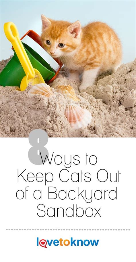 Tell kitty to keep out. 8 Ways to Keep Cats Out of a Backyard Sandbox in 2020 ...