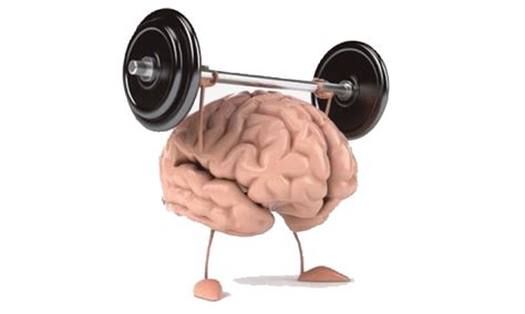 Exercise Brain Power Exercisewalls