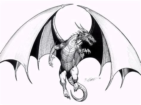 How to draw a simple and easy fiery dragon. How To Draw A Flying Dragon - Cliparts.co