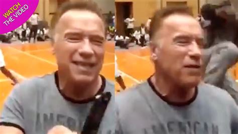 Arnold Schwarzenegger Drop Kicked By Attacker While Posing For Selfies Wales Online