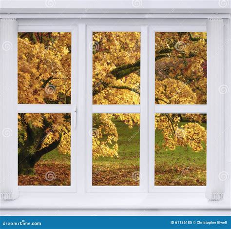 Autumn Window Stock Photo Image 61136185