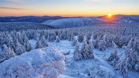 Snow Covered Trees With Snow Field Background Of Sunset Hd Winter