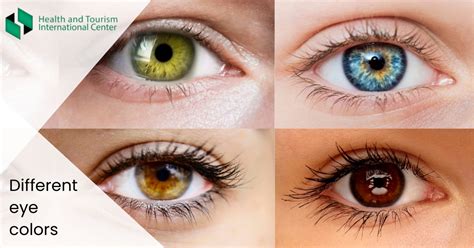 Which Eye Color Is The Most Common And Which Is Rare Hti Centers