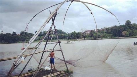 Mengenal Tangkul Perlatan Tangkap Ikan Tradisional Jambi Yang Ramah