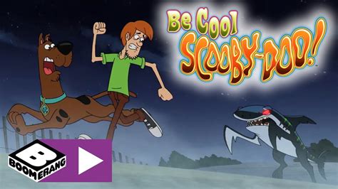 Be Cool Scooby Doo Is Paparazzi A Pizza Boomerang Uk Youtube