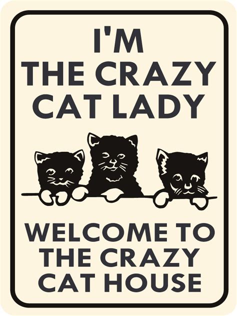 Cat Im The Crazy Cat Lady Welcome To The Crazy Cat House Funny