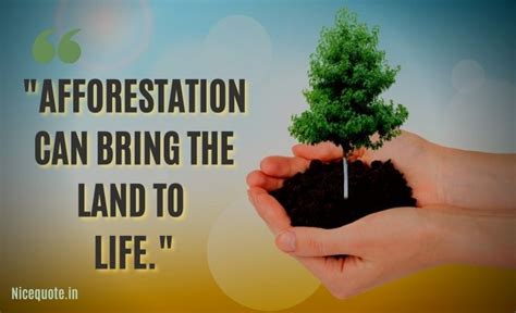 Tree Planting Quotes Slogans On Save Trees Tree Slogan Tree Quotes