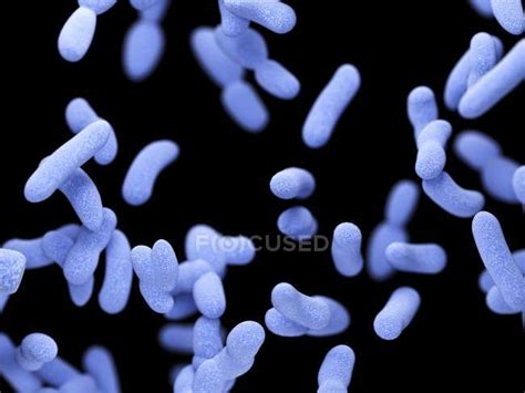 Abstract Illustration Of Blue Bacilli Bacteria Full Frame — Medicine