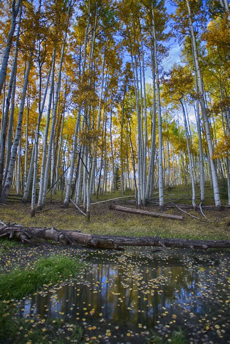 Autumn Colors — Colorado Josh Photography