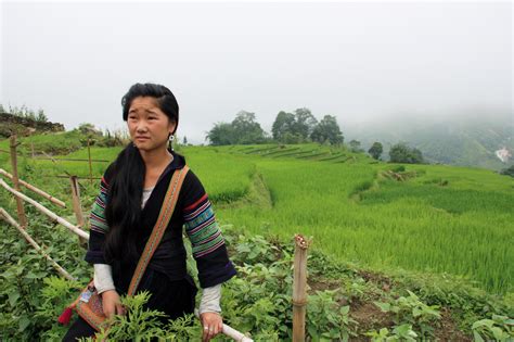 vivre-avec-les-hmongs-no-mad-land