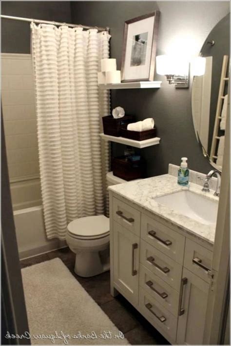 Unusual Guest Bathroom Decorating Ideas Small Bathroom Remodel