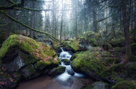 4k Forests Waterfalls Stones Moss Stream Hd Wallpaper Rare Gallery