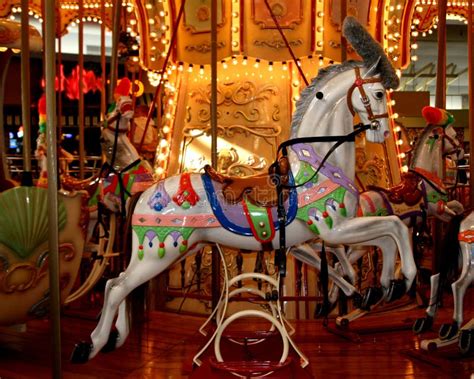8784 Carousel Horse Stock Photos Free And Royalty Free Stock Photos