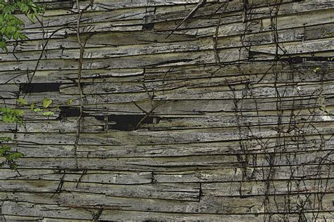 Weathered Wood Wall Photograph By Nadalyn Larsen Fine Art America