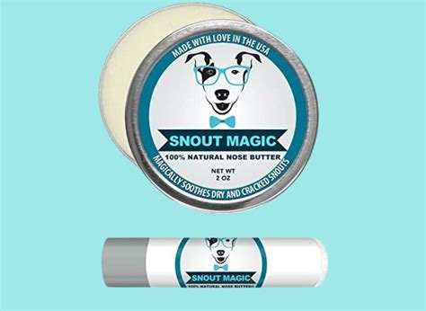 Nose Butter For Dogs Smoother Sniffs For Your Furry Friend