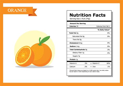 Can Shih Tzu Eat Oranges Heres What Veterinarians Say