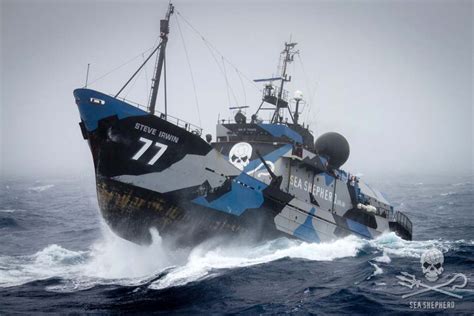 Sea Shepherd Uk Sea Shepherd Announces Operation Icefish 2015 16