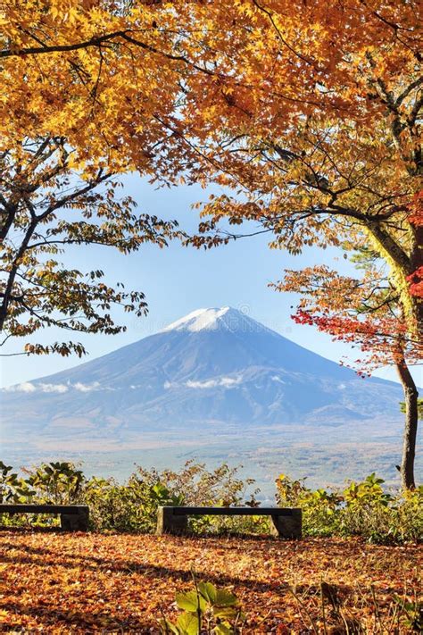 Mt Fuji With Fall Colors In Japan Stock Image Image Of Lake