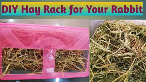 Diy Hay Rack For Rabbits Easy Rabbit Feeder Youtube