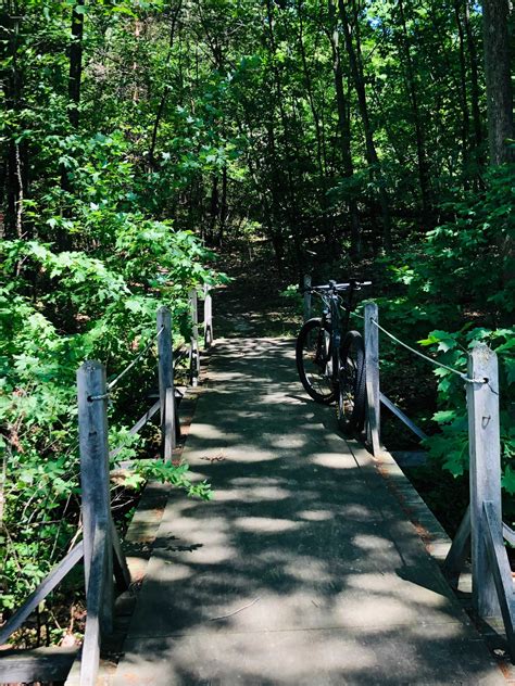 Beechwood Trail Day 2 Michigans Edge Mountain Biking Association