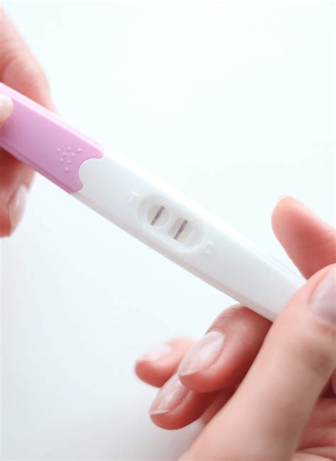 How Do Pregnancy Tests Work At Home Lexi Conaty Co