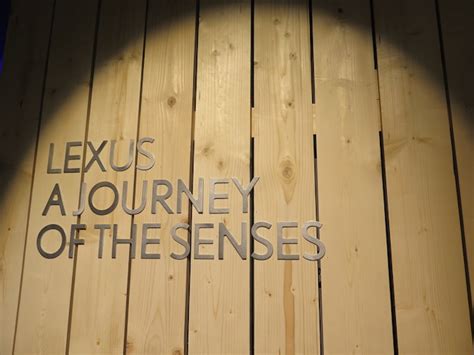 A Journey Of The Senses Exhibit Lexus Feel Desain Your Daily Dose